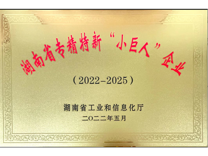 榮獲湖(hú)南省專精特新“小(xiǎo)巨人(rén)“企業